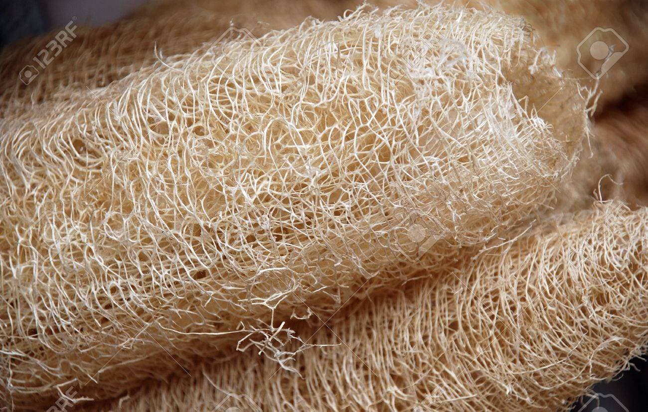 Raw Loofah Sponge for Natural Skincare