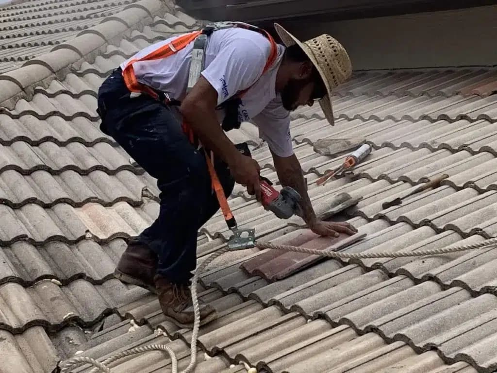 Commercial Roofing Services You Can Trust for Quality