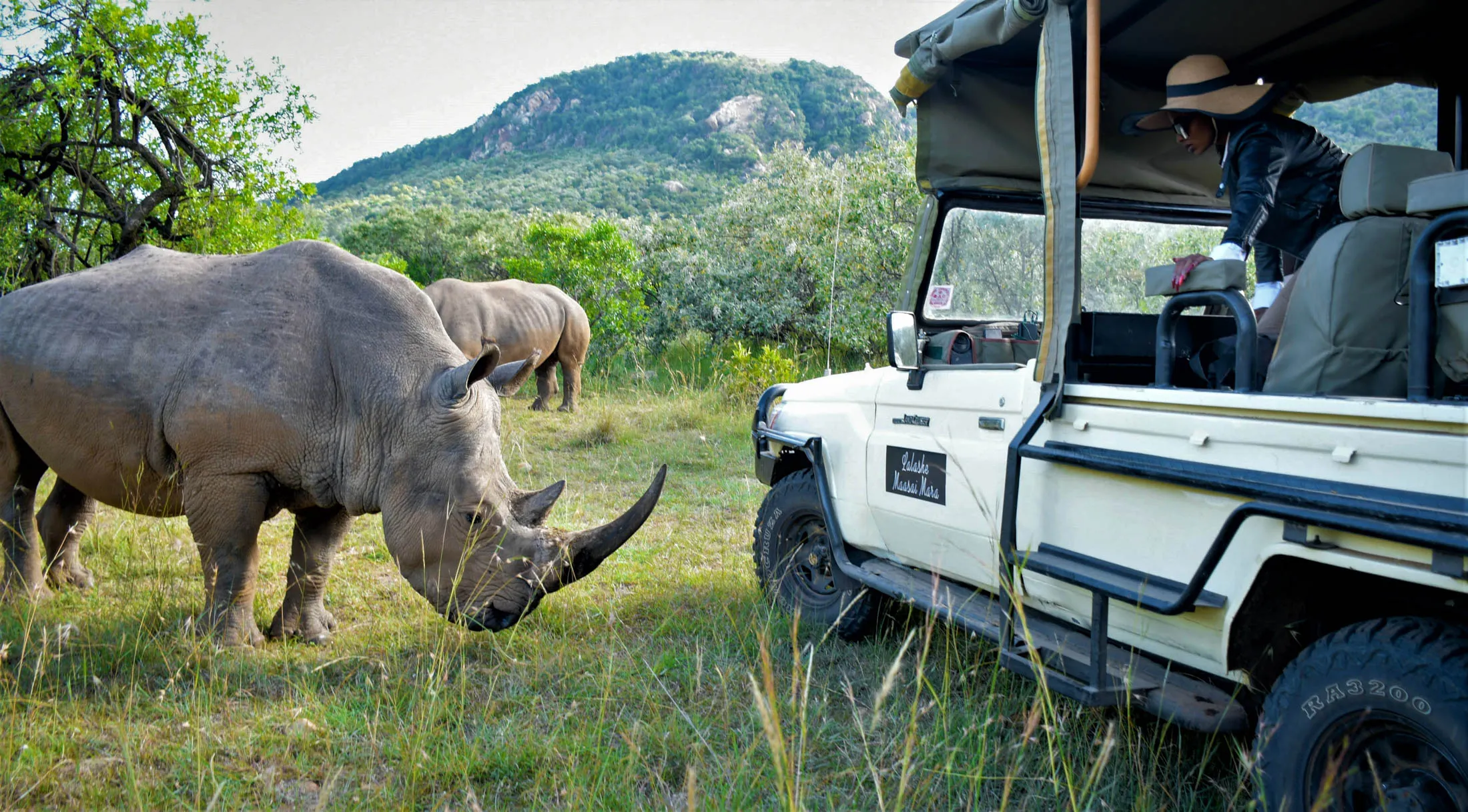 Kenya Safari Tours | Experience Africa in Style & Comfort