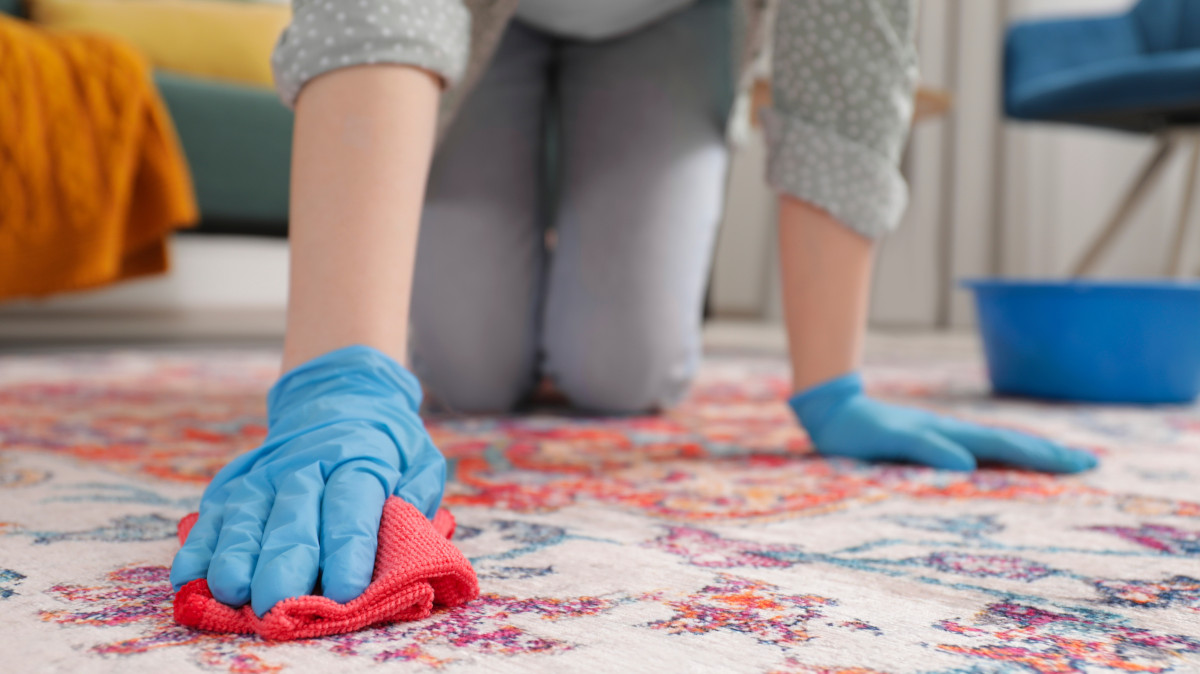 Professional carpet cleaning leander tx with Fast Response Times