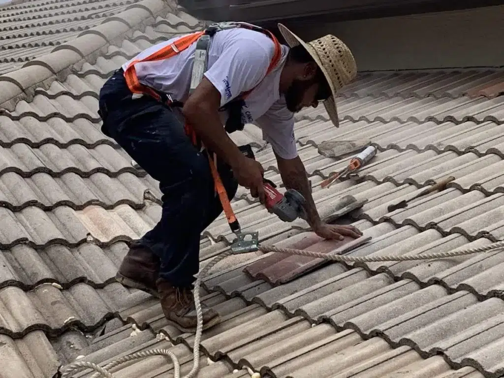 Commercial Roofing Services You Can Trust for Quality